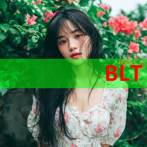 天空：海港主帅穆斯卡特是流浪者正在考虑的新帅候选人之一