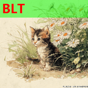 科塔：休赛期增加了力量训练身体控制能力更好了 大家会看到变化