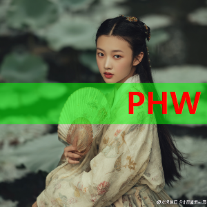 法羽赛:冯彦哲/黄东萍2