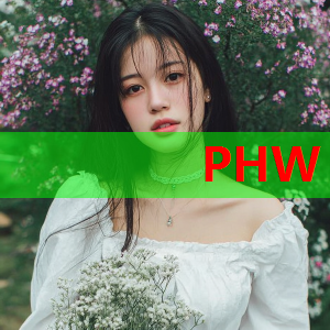 进至少7次全明星且效力7+球队：摩西