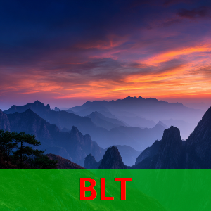 火箭连签四名球员，摆烂期后卫重回休城，斯通为毒蛇招兵买马？