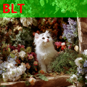 无买断条款！罗马诺：尤文外租阿图尔至格雷米奥达协议