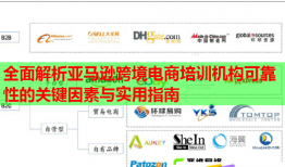 全面解析亞馬遜跨境電商培訓(xùn)機構(gòu)可靠性的關(guān)鍵因素與實用指南