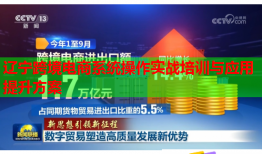 遼寧跨境電商系統(tǒng)操作實(shí)戰(zhàn)培訓(xùn)與應(yīng)用提升方案