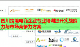 四川跨境電商企業(yè)專業(yè)培訓(xùn)提升實戰(zhàn)能力與市場競爭力方案