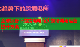 全球視野下的跨境電商實(shí)戰(zhàn)培訓(xùn)與運(yùn)營(yíng)提升方案