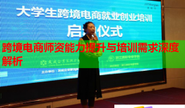 跨境電商師資能力提升與培訓(xùn)需求深度解析