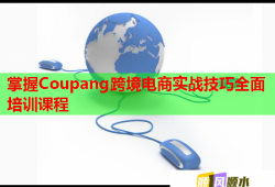 掌握Coupang跨境電商實戰(zhàn)技巧全面培訓(xùn)課程
