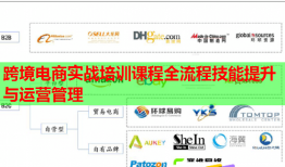 跨境電商實戰(zhàn)培訓(xùn)課程全流程技能提升與運營管理