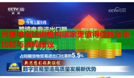 跨境電商培訓機構哪家更值得信賴全面比較與選擇建議