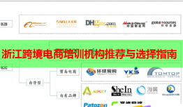 浙江跨境電商培訓(xùn)機(jī)構(gòu)推薦與選擇指南