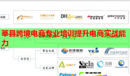 莘縣跨境電商專業(yè)培訓提升電商實戰(zhàn)能力