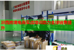 汾西跨境電商實(shí)戰(zhàn)培訓(xùn)助力全球銷售提升