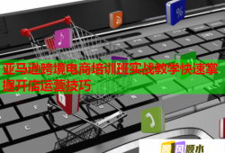 亞馬遜跨境電商培訓(xùn)班實戰(zhàn)教學(xué)快速掌握開店運營技巧