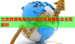 北京跨境電商培訓(xùn)現(xiàn)狀及發(fā)展機(jī)會全面解析