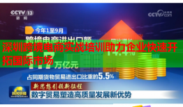 深圳跨境電商實(shí)戰(zhàn)培訓(xùn)助力企業(yè)快速開拓國際市場