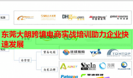 東莞大朗跨境電商實(shí)戰(zhàn)培訓(xùn)助力企業(yè)快速發(fā)展