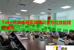 Toko跨境電商實戰(zhàn)培訓(xùn)全方位技能提升課程