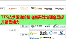 TTS技術(shù)驅(qū)動跨境電商實戰(zhàn)培訓全面提升銷售能力