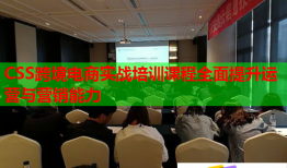 CSS跨境電商實戰(zhàn)培訓(xùn)課程全面提升運營與營銷能力