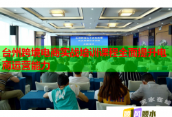 臺(tái)州跨境電商實(shí)戰(zhàn)培訓(xùn)課程全面提升電商運(yùn)營(yíng)能力
