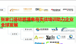 張家口基礎(chǔ)跨境電商實(shí)戰(zhàn)培訓(xùn)助力企業(yè)全球發(fā)展