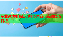 專業(yè)跨境電商培訓(xùn)核心內(nèi)容與實(shí)戰(zhàn)技巧解析