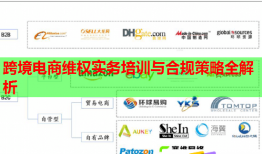 跨境電商維權(quán)實務(wù)培訓(xùn)與合規(guī)策略全解析