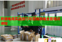 跨境電商實(shí)戰(zhàn)技巧與營(yíng)銷策略全面培訓(xùn)課程