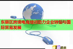 東麗區(qū)跨境電商培訓(xùn)助力企業(yè)轉(zhuǎn)型與國際貿(mào)易發(fā)展