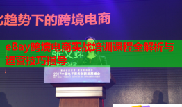 eBay跨境電商實(shí)戰(zhàn)培訓(xùn)課程全解析與運(yùn)營技巧指導(dǎo)