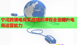 寧河跨境電商實(shí)戰(zhàn)培訓(xùn)課程全面提升電商運(yùn)營能力