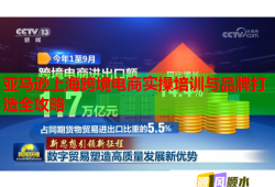 亞馬遜上?？缇畴娚虒嵅倥嘤?xùn)與品牌打造全攻略