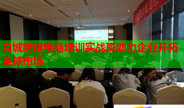 白城跨境電商培訓(xùn)實(shí)戰(zhàn)班助力企業(yè)開(kāi)拓全球市場(chǎng)