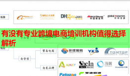 有沒(méi)有專業(yè)跨境電商培訓(xùn)機(jī)構(gòu)值得選擇解析