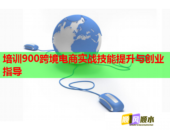 培訓(xùn)900跨境電商實(shí)戰(zhàn)技能提升與創(chuàng)業(yè)指導(dǎo) 培訓(xùn)900跨境電商實(shí)戰(zhàn)技能提升與創(chuàng)業(yè)指導(dǎo)