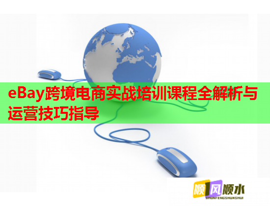 eBay跨境電商實戰(zhàn)培訓(xùn)課程全解析與運營技巧指導(dǎo) eBay跨境電商實戰(zhàn)培訓(xùn)課程全解析與運營技巧指導(dǎo)