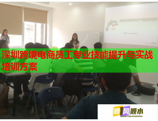 深圳跨境電商員工專業(yè)技能提升與實(shí)戰(zhàn)培訓(xùn)方案 深圳跨境電商員工專業(yè)技能提升與實(shí)戰(zhàn)培訓(xùn)方案