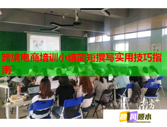 跨境電商培訓(xùn)小結(jié)簡短撰寫實(shí)用技巧指南 跨境電商培訓(xùn)小結(jié)簡短撰寫實(shí)用技巧指南