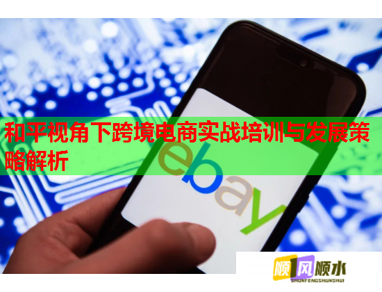和平視角下跨境電商實(shí)戰(zhàn)培訓(xùn)與發(fā)展策略解析 和平視角下跨境電商實(shí)戰(zhàn)培訓(xùn)與發(fā)展策略解析