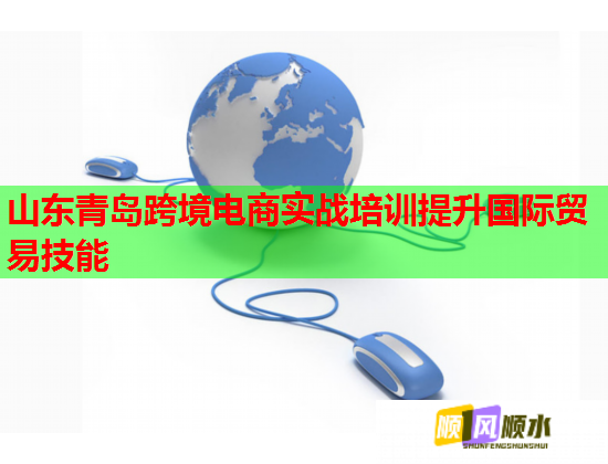 山東青島跨境電商實戰(zhàn)培訓提升國際貿(mào)易技能 山東青島跨境電商實戰(zhàn)培訓提升國際貿(mào)易技能