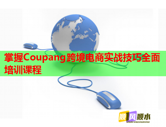 掌握Coupang跨境電商實戰(zhàn)技巧全面培訓(xùn)課程 掌握Coupang跨境電商實戰(zhàn)技巧全面培訓(xùn)課程