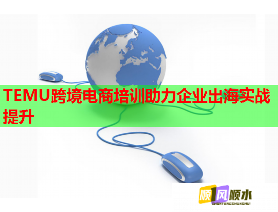TEMU跨境電商培訓(xùn)助力企業(yè)出海實(shí)戰(zhàn)提升 TEMU跨境電商培訓(xùn)助力企業(yè)出海實(shí)戰(zhàn)提升