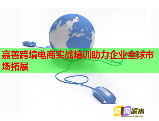 嘉善跨境電商實戰(zhàn)培訓助力企業(yè)全球市場拓展 嘉善跨境電商實戰(zhàn)培訓助力企業(yè)全球市場拓展